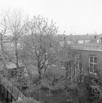 831204 Gezicht in de tuin van het huis Ondiep 65 te Utrecht vanaf het balkon aan de achterzijde van het huis Ondiep ...